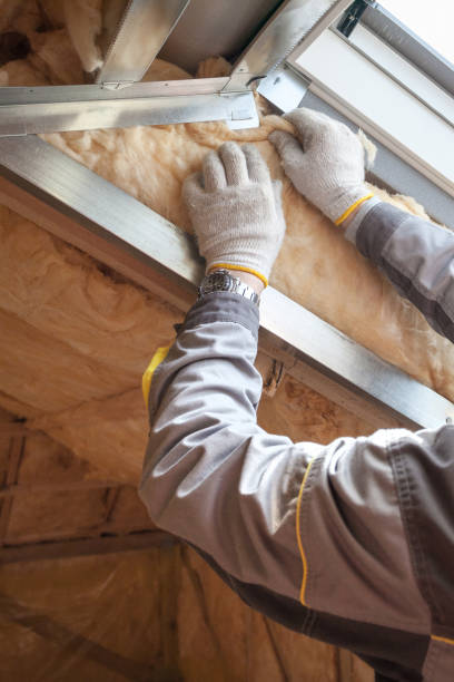 Best Types of Insulation in Mcswain, CA