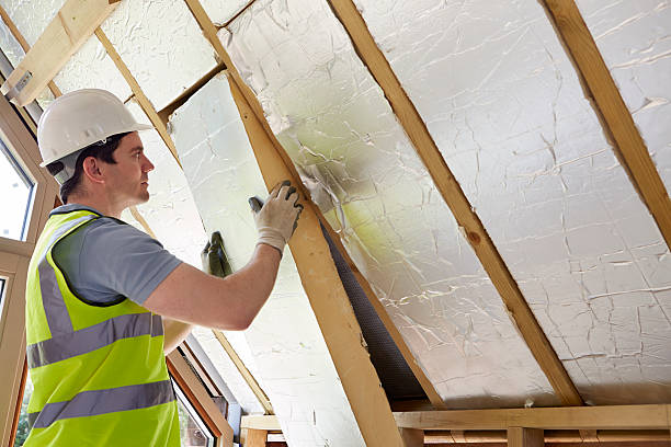 Best Insulation Maintenance and Repair in Mcswain, CA